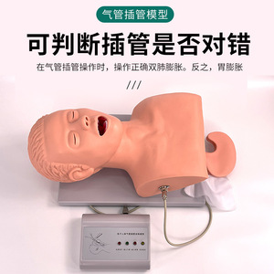 Modèle de formation à l'intubation endotrachéale pour adultes ; alarme dentaire ; modèle électronique humain de formation à l'intubation endotrachéale J5s - Product Image 2