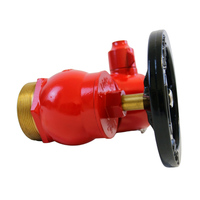 Vanne d'accès oblique pour hydrant d'incendie BSP 2,5 pouces BS336, rouge, en alliage d'aluminium flexible, accessoires d'équipement de lutte contre l'incendie