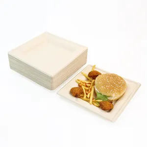 Biodegradable 9inch Customizable Eco Friendly Disposable Sugarcane Plates With 50pcs Per Set