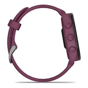สมาร์ทวอทช์ ( AMOLED ) FORERUNNER 165 สีมิวสิคเบอร์รี่และสีม่วงไลแลค 43 มม. 010 02863 33 - Product Image 6