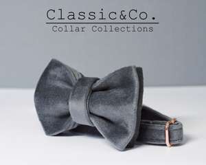 Ensemble collier et laisse personnalisés pour chat et petit chien DarkGrey Veet, avec étiquette gravée sur mesure pour chaton/chiot et clochette dorée gratuite - Product Image 3