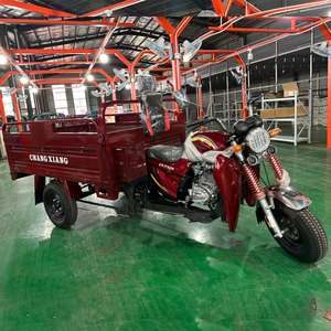 Gasoline Motorized Open Tricycle Motorcycle 1.3x1.9m Cargo <b>Box</b> 500kg Load Capacity Small Business Owners Individual Transporters - Product Image 4