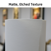 Rouleau de papier d'art décoratif 210g, texture légère, finition mate, pour illustrations numériques sans acide, impression jet d'encre pour portraits