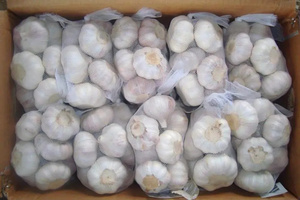 Nueva cosecha de ajo fresco de alta calidad a precio de fabricante a granel y fresco - Product Image 3