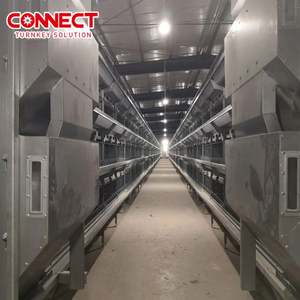 Multi niveles Pondeuse <span class=keywords><strong>Gallo</strong></span> Gallinas Granja Poniendo huevos Equipo de aves de corral Conjunto Sistema de jaula de batería para jaulas de pollos de granja de capas - Product Image 2