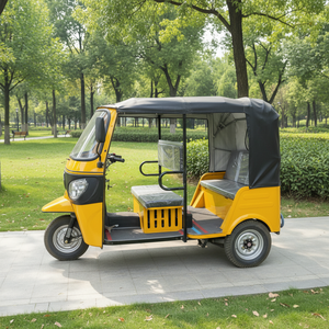 Motocyclette à trois roues de loisirs avec side-car, carrosserie fermée, 6 passagers, Dongdao 2000W, certifiée CEE - Product Image 1