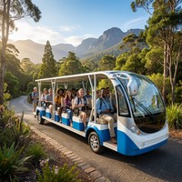 Bus électrique touristique sur mesure Tarion Factory 17 places, autonomie 100-110 km, moteur AC 5 kW, propulsion arrière