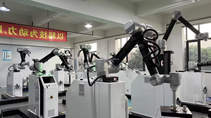 Robots de palettisation, largement utilisés dans l'industrie alimentaire, capture précise, capacité de charge de 40 kilogrammes. - Product Image 4