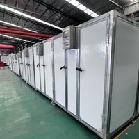 Industriële Elektrische Verwarmingslade Droger Machine-Professionele Fruitdroogapparatuur Voor Betelnoot Banaan Mango Ananas Oranje Ananas