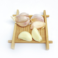 Vente en gros bon marché épices simples herbes ail frais Chine