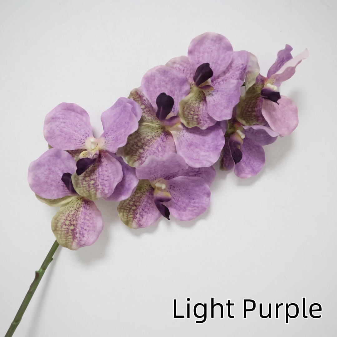 Light Purple