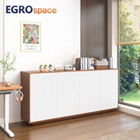 EGROspace Profesyonel Tedarikçi Mobilya Salıncak Kapılı Dosya Dolabı Kilitlenebilir Minimalist Modüler Ofis Depolama Dolabı