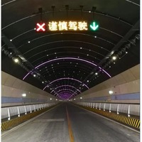 Semáforo LED de 30*30cm 40*40cm para Guía de Estacionamiento, Cruz Roja y Flecha Verde para Sistema de Estacionamiento