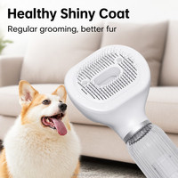 Aspirateur de toilettage pour animaux de compagnie en une seule étape, 4 embouts de toilettage interchangeables pour chats et chiens à poils longs, vente en gros pour les animaleries