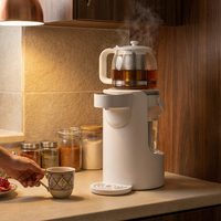 Bouilloire Électrique Personnalisée Tendance, Samovar Portable en Verre, Chauffe-Eau Russe, Bouilloire Électrique pour Thé, Samovar Intelligent