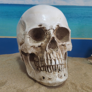 Modèle de <span class=keywords><strong>crâne</strong></span> humain en résine 1:1, tête de squelette simulée, ornement, décoration de fête d'Halloween, accessoire de photographie - Product Image 5
