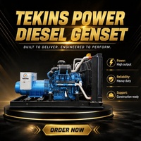 Groupe électrogène diesel de type ouvert 250 kVA 200 kW 300 kW 400 kW, triphasé 400 V, refroidi par eau, ATS, démarrage automatique, puissance de secours