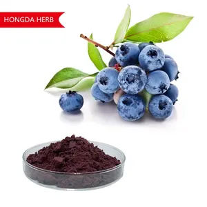 HONGDA Factory Supply Blueberry Freeze-Dried Powder Blueberry Extract Blueberry Juice Powder