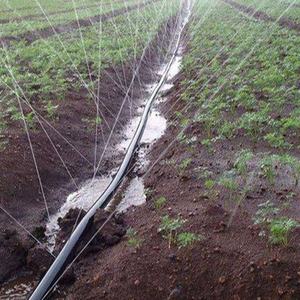 ระบบน้ำหยดและสปริงเกอร์แบบสายพ่นละอองขนาดเล็กสำหรับการเกษตร <span class=keywords><strong>ท่อ</strong></span>หลักขนาด 1 <span class=keywords><strong>นิ้ว</strong></span> รุ่นจีน - Product Image 1