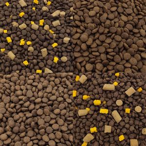 Aliments <span class=keywords><strong>pour</strong></span> chiens OEM 10KG 20KG Aliments <span class=keywords><strong>pour</strong></span> chiens crus naturels secs saveurs multiples <span class=keywords><strong>pour</strong></span> tous les âges - Product Image 5
