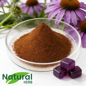 Chiết xuất cây hoa cúc tây tự nhiên 4% Polyphenols, thực phẩm bổ sung thảo dược, đạt chứng nhận <span class=keywords><strong>GMP</strong></span>, nhà máy đạt chuẩn ISO, hỗ trợ miễn dịch - Product Image 3