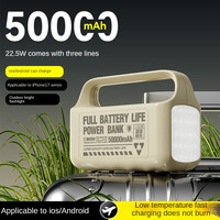 Station d'alimentation portable 22,5 W avec charge rapide Type-C/Micro USB, 3 câbles intégrés, lampe de camping LED, design portable