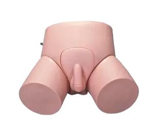 医療トレーニング用の安価な電子式男性/女性尿道カテーテル挿入および浣腸モデル、ISO認証取得済み - Product Image 5