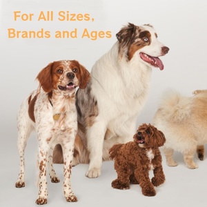 Nhanh chóng vận chuyển thúc đẩy sụn phát triển Pet chăm sóc sức khỏe & bổ sung Dog Treats máy tính bảng cho pet sức khỏe doanh - Product Image 3