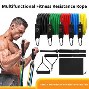 Ensemble de bandes de résistance multifonctionnelles en TPE, 11 pièces, pour entraînement de force, haute élasticité, durable, entraînement complet du corps, corde de traction - Product Image 4
