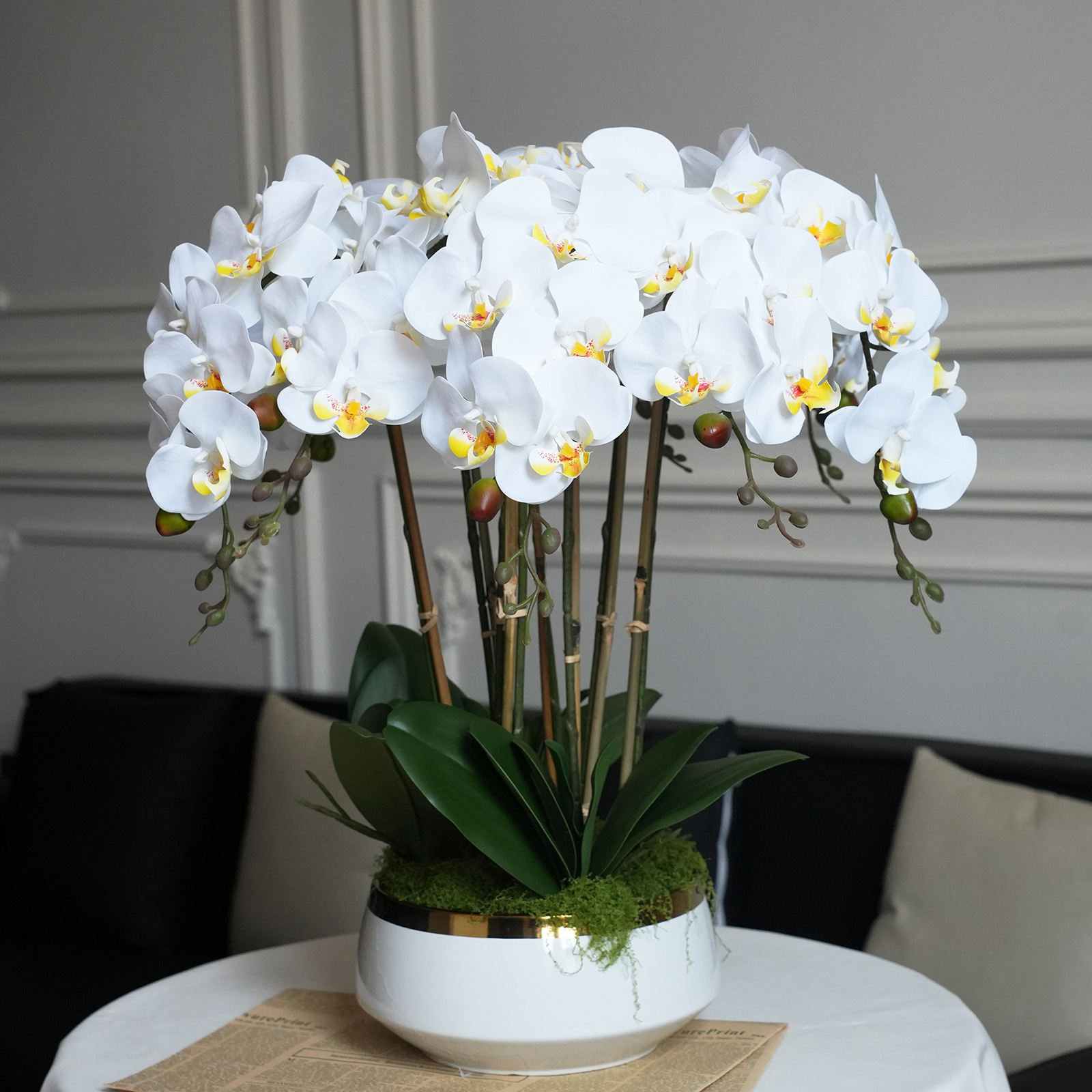 Plante en pot phalaenopsis blanche au toucher haut de gamme