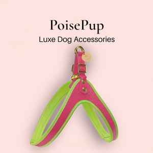 สายจูงสุนัขคุณภาพสูงทำด้วยมือด้วยหนังแท้และสายรัดปลดง่าย-สีชมพู | สีเขียว - Product Image 1