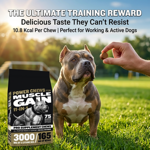 Friandises à mâcher riches en protéines pour la croissance musculaire des chiens, supplément d'acides aminés, constructeur musculaire, soins de santé pour animaux de compagnie, multivitamines et probiotiques pour chats - Product Image 5