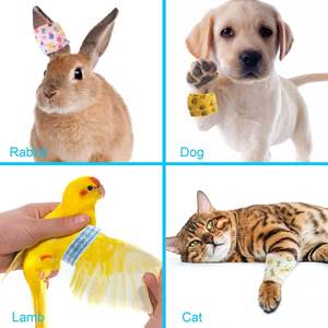 Bandages cohésifs non tissés élastiques résistants à la transpiration et imperméables pour les entorses et le gonflement de la cheville - Product Image 5