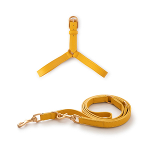 Mùa Hè Mới Da Con Chó Khai Thác Da Đào Tạo Dây Xích Thiết Lập Con Chó Khai Thác Dây Xích Thiết Lập Cho Nhỏ Và Kích Thước Trung Bình Chó - Product Image 5