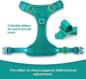 Harnais pour chien en néoprène réglable, ensemble harnais et laisse pour chien, harnais pour chien personnalisé - Product Image 4