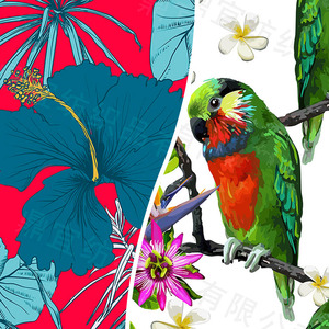 Bán Buôn Dệt Đồng Bằng Tinh Tế Phong Cách Khác Nhau (13 Mẫu) Vải In Hoa Văn Cây Nhiệt Đới Cho Quần Áo, Túi Xách, Ect - Product Image 1