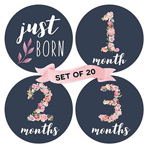 Usine Fournir Directement Floral Bébé Mensuel Jalon Autocollants (<span class=keywords><strong>Lot</strong></span> de 20) -de la <span class=keywords><strong>naissance</strong></span> à 12 Mois - Product Image 1