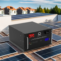 Pabrik Madsun Grosir Baterai LiFePO4 Rakit 15KWH 51.2V 48V 300Ah 314Ah 280Ah 200Ah OEM 48V 51.2V Baterai Lithium Ion