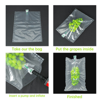 Film de protection PE+PA à bulles d'air de haute qualité pour le transport des raisins avec emballage antichoc et coussin d'air gonflable