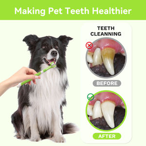 Cura dentale per animali domestici 3 testine morbide denti pulizia cane e gatto spazzolino da denti - Product Image 5