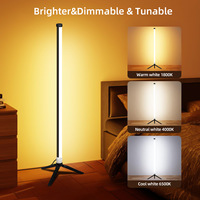 Rêve couleur Lampadaire Décoration De La Maison Smart Coin De Lumière Au Sol Télécommande LED RGB Lampadaire pour la chambre intérieure