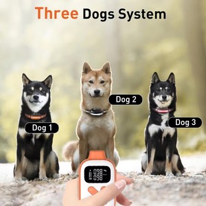 Humane No Shock Dog Training Collar with <b>Remote</b>, Rechargeable Waterproof Pet Trainer with Beep <b>Vibration</b> for Obedience Training - Product Image 4