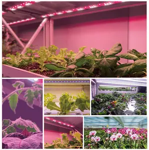 30W High Brightness T8 Red Blue Spectrum Plant Growing Lights Bar For Indoor Plants Veg And Flower Seeding With Plug Switch Wire