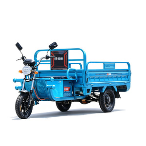 Tricycle électrique cargo 1000W 48V, carrosserie ouverte, capacité de charge 300-400 kg, bleu - Product Image 2