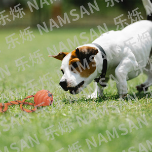 Jouet de tirage pour chien NAMSAN, en caoutchouc, en forme de citrouille, pour l'entraînement et le jeu interactif des chiens - Product Image 3