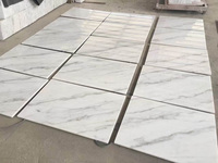 Marbre blanc de Guangxi chinois le moins cher, grand carrelage de sol en marbre blanc naturel pour la décoration intérieure
