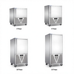 Congélateur à air pulsé commercial à basse température (-40°C) avec 3, 5, 10 ou 15 plateaux pour pommes de terre et poulet - Product Image 1