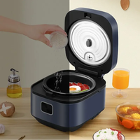 Autocuiseur Électrique Intelligent Multifonctionnel en Acier Inoxydable Antiadhésif Portable pour la Maison - Vente Chaude