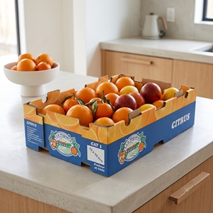 Caja de Embalaje para Frutas Impresa con Logotipo Personalizado para Entrega de Frutas y Aplicaciones de Exportación - Product Image 2