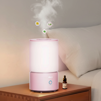 Mini humidificateur ultrasonique pour la maison et l'hôtel, capacité de 3 à 5 L, fonctionnement silencieux <36 dB, fonction de minuterie